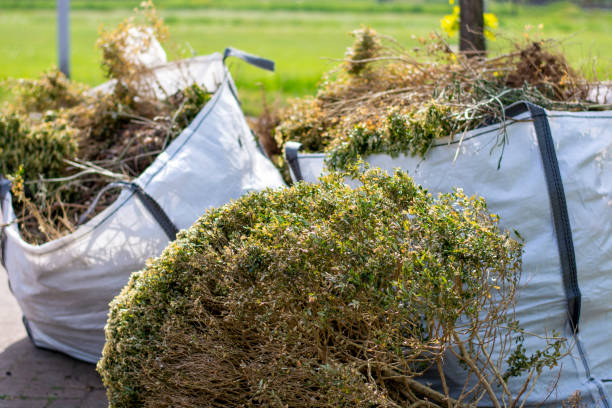 Best Yard Waste Removal  in Miami Springs, FL